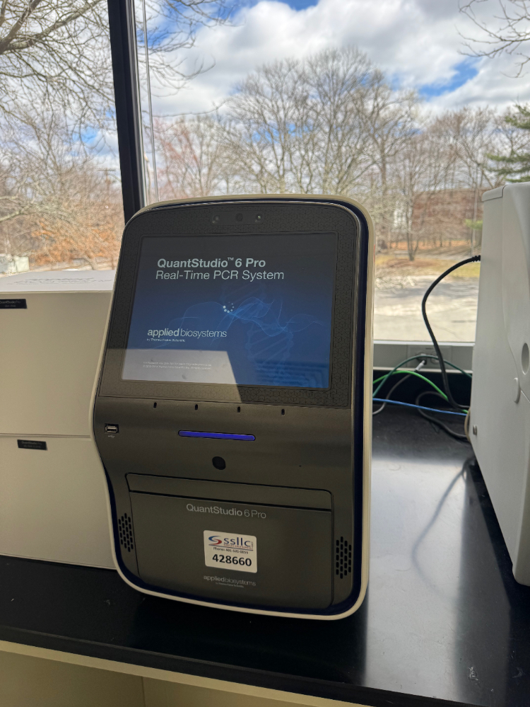 Image of Applied Biosystems QuantStudio 6 Pro real-Time PCR System